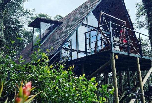 Mirador Bosque Gran Torino Neusa