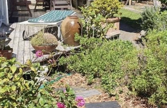 Miramar Bungalow, Wellington Garden Oasis