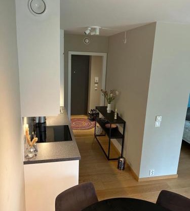 Modern apartment in Tønsberg right by the waterfront and city center