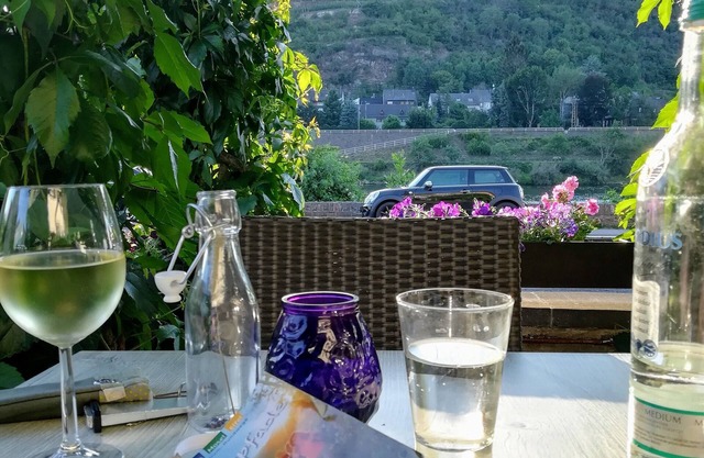 Modern apartment with Moselle view