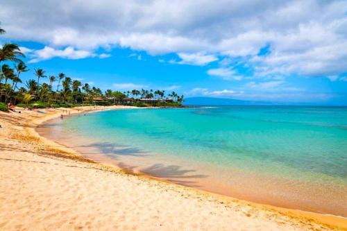 Modern Beautiful 1BR Napili Bay Get-Away Condo