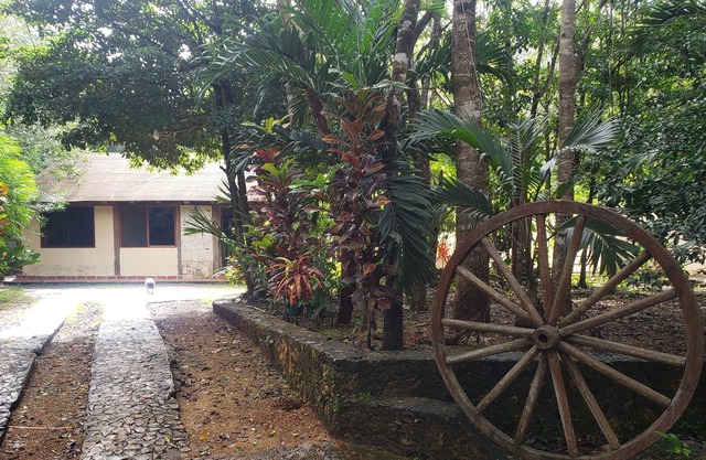 Modern Cabin in the Mayan Jungle Ecological Reserve
