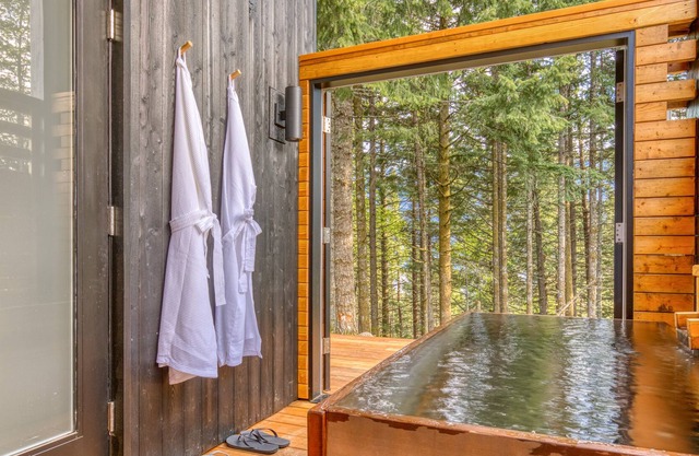 Modern cabin, views, geothermal hot tub, indoor steam sauna & deck