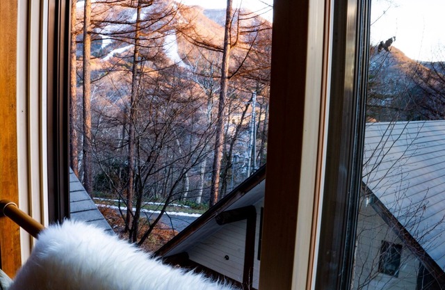 Modern Mountain Loft 202 /Kamiminochi-gun Nagano