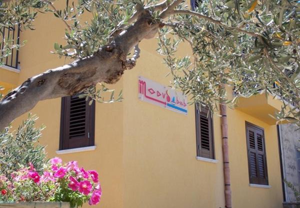 Modus B&B
