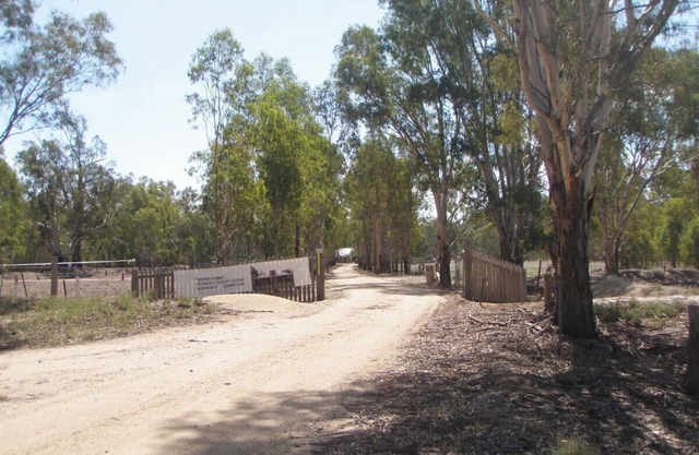 Moira Gums - Nestled on the edge of the Barmah National Forest