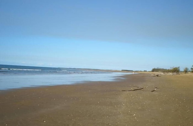 Moore Park Beach Motel