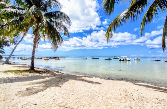 MOOREA - Tropical Soul