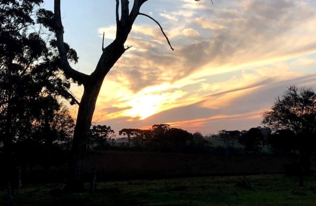 Morada do Guapuruvu - Cozy country house