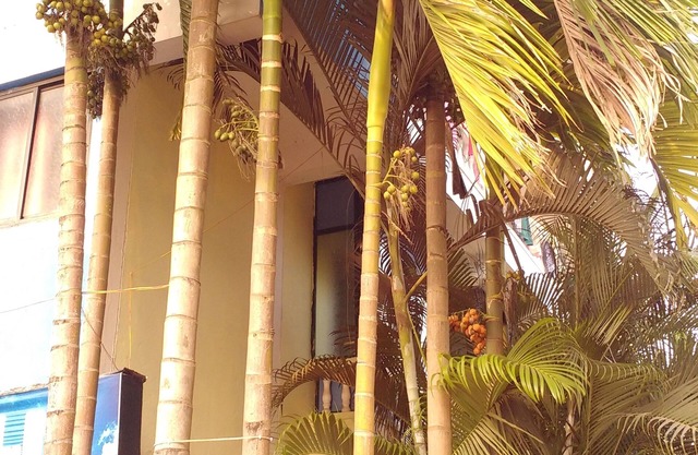 Morjim Bay Resort