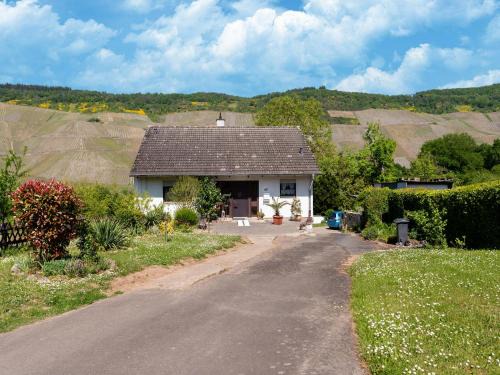 Moselle Vineyard Escape