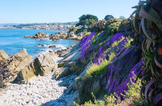 MV6: 30 night minimum Lover's Point Mermaid Cottage