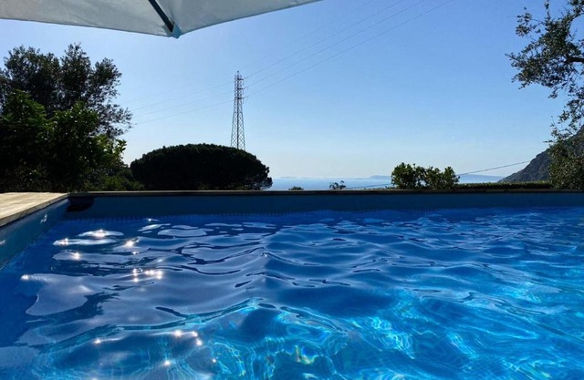 My Place Home & Garden