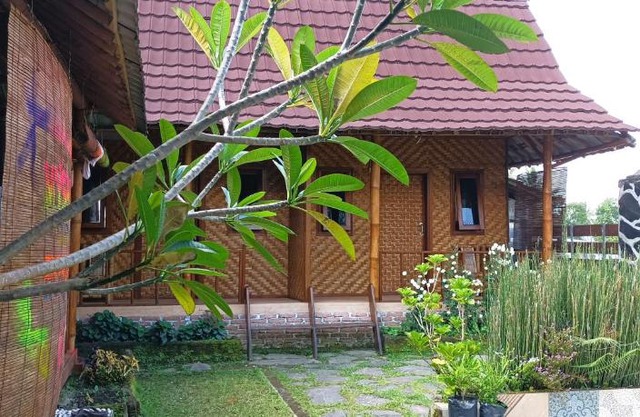 Mysha Guest House-Lombok