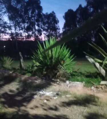 não reservar,não sei tirar daqui procure o outro aplicativo chácara lua e sol