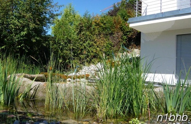 N1 Standalone House Baden