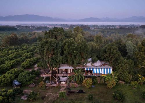Napahong Treehouse นาป่าฮง