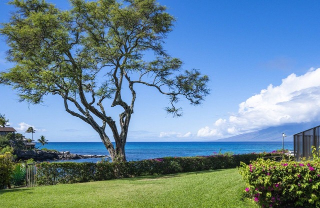 Napili Point A27 ~ Tranquil and Private Corner with Oceanfront Views