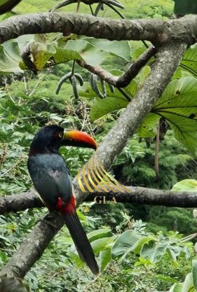 Natural Aparment Santa Ana,Condominio San Nicolas de Bari Etapa l