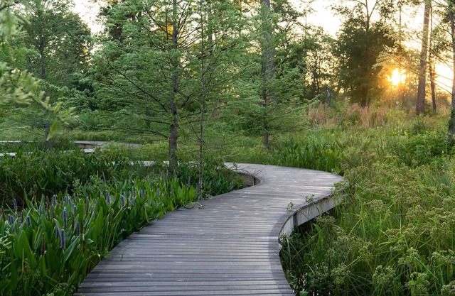 Nature Lover's 2 Bedroom Executive Condo Near Parks And Downtown