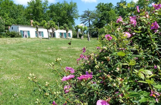 Nature, wine and culture .
