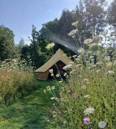 Natuurglamping 't Wijland