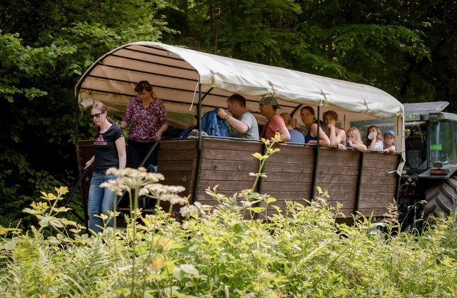 Nengshof vacation home Ehrenpreis with great roof terrace