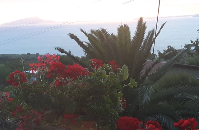 New and stunning House on the Sorrento Coast with adjacent Pool.