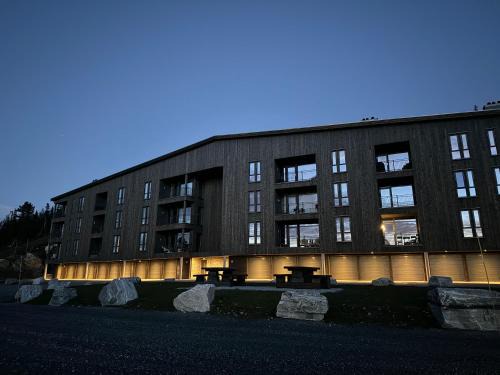 New apartment, Gausta in Rjukan. Ski in/ski out