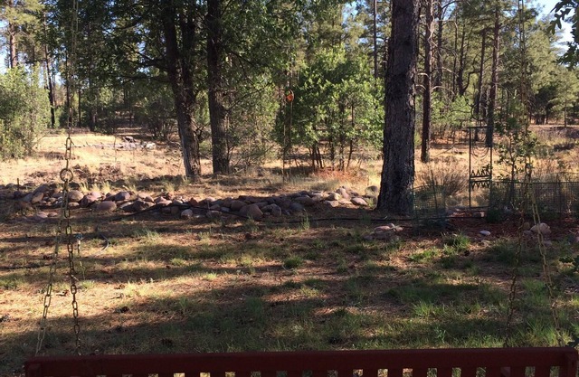 New! Artistic Studio Retreat that is Quiet & Relaxing, Bordering National Fores