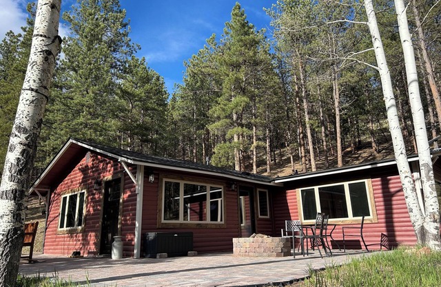 New! Aspen time is right around the corner! 1 hr from DIA! Gas firepit & Wifi
