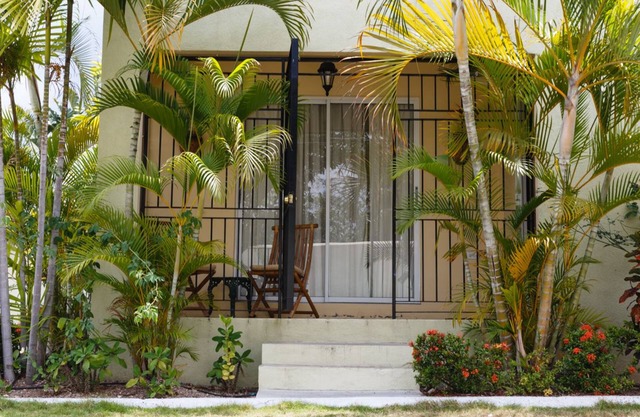 New Kingston Guest Apartment VII