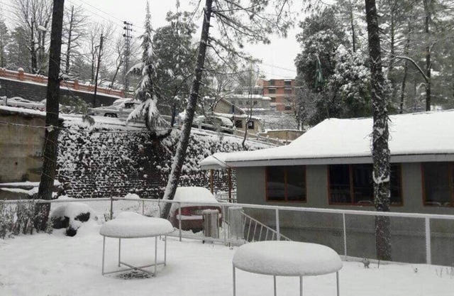 New Kotwal Hotel & Restaurant