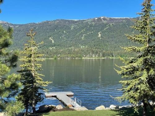 New Modern Cabin w fireplace Hot Tub Sleeps 12