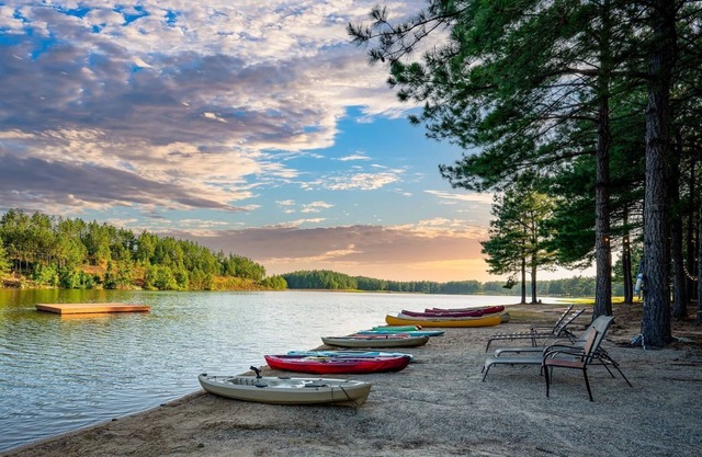 NEW Tiny Cabin Big Adventures