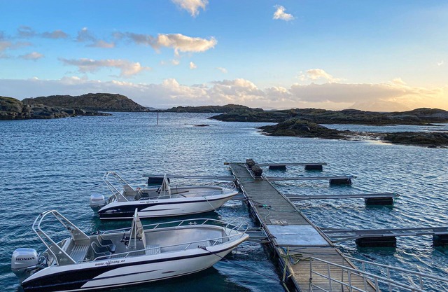 Nice apartment in Offersøy with sauna
