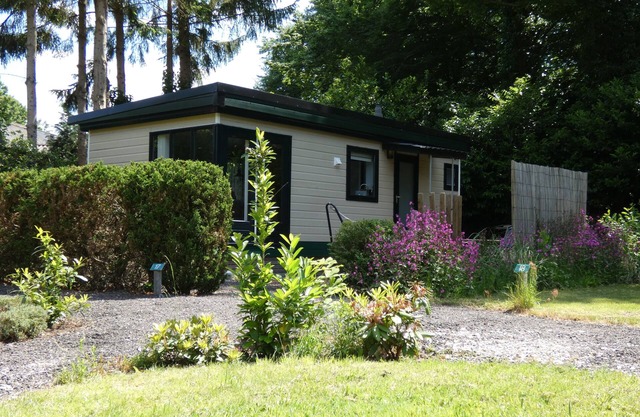 Nice chalet for rent against forest and directly on border Friesland/Groningen/Dr.