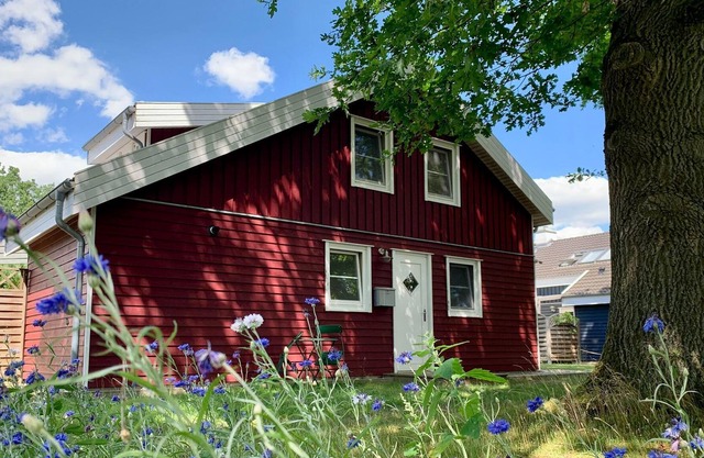 Nice holiday home in Dümmer near lake