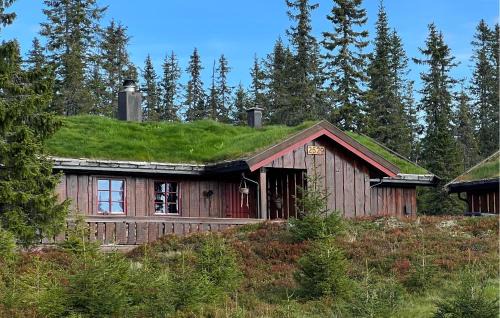 Nice Home In Sjusjøen With Sauna