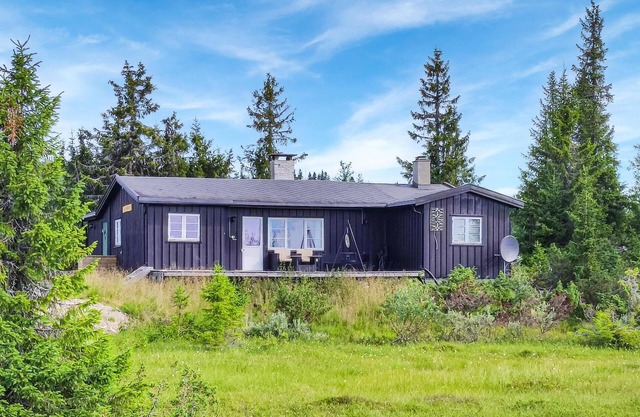 Nice home in Sjusjoen