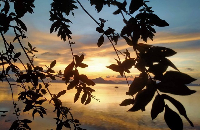 Nipa Hut Sunset El nido