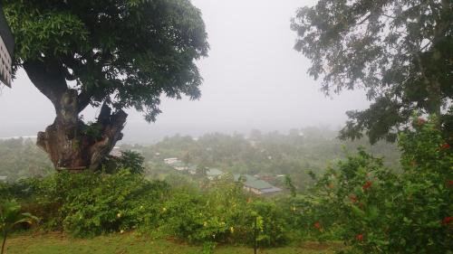 NoKo home