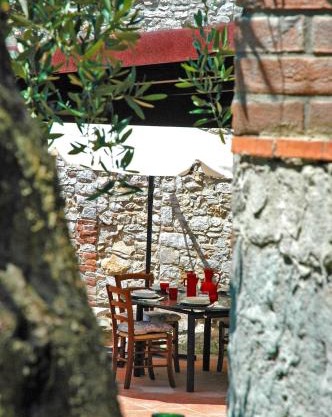 Nonna Afra house on Lucca hills with great view - vetrianello