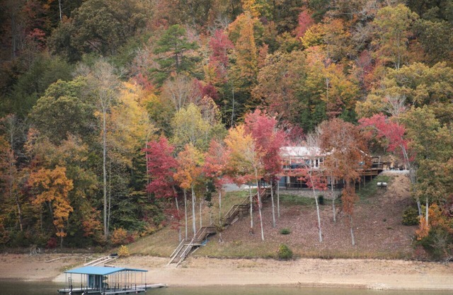 Norris Lake Cabin – Game Room, Dock & Stunning Views