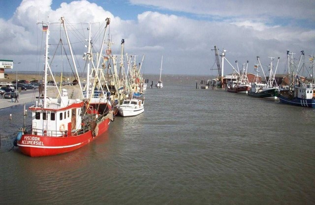 North Sea House Dornumersiel - house