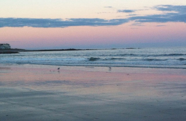 Now renting summer of 2026 only three weeks available