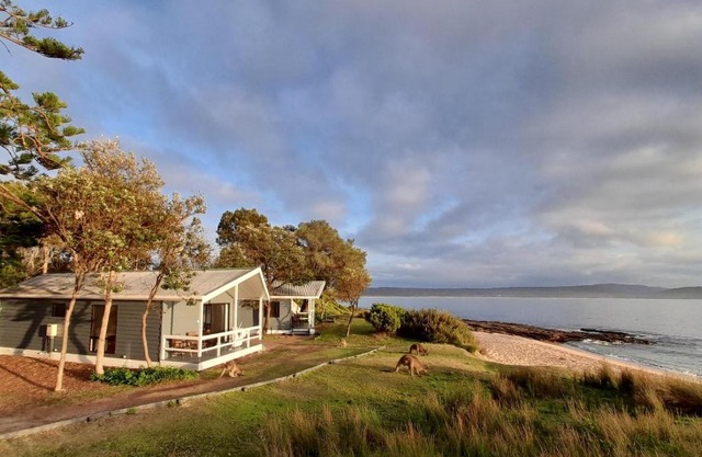 NRMA Murramarang Beachfront Holiday Resort
