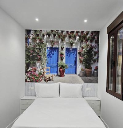 Nueva PENSION CIBELES