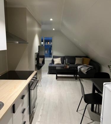 Ny og moderne 2-roms leilighet