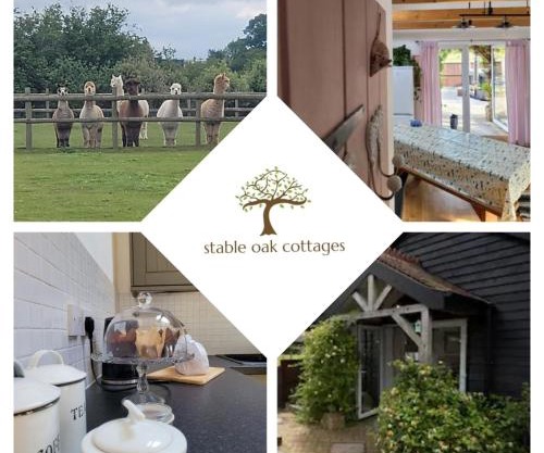 Oak Cottage with private log fired hot tub